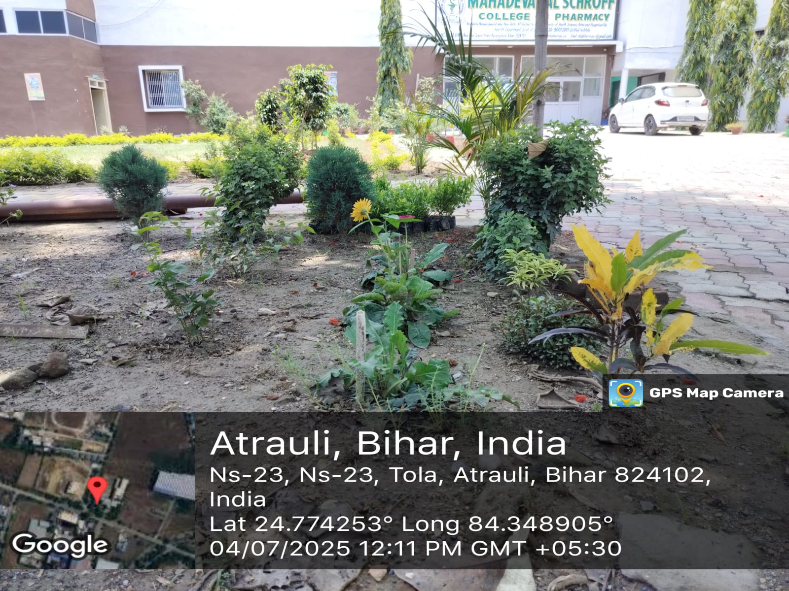 MLS Herbal garden